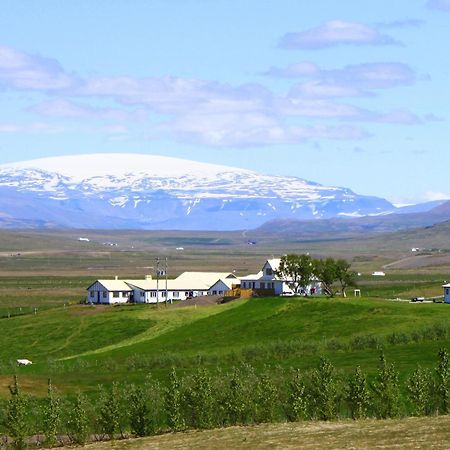 Guesthouse Steindorsstadir, West Iceland Reykholt  Zewnętrze zdjęcie