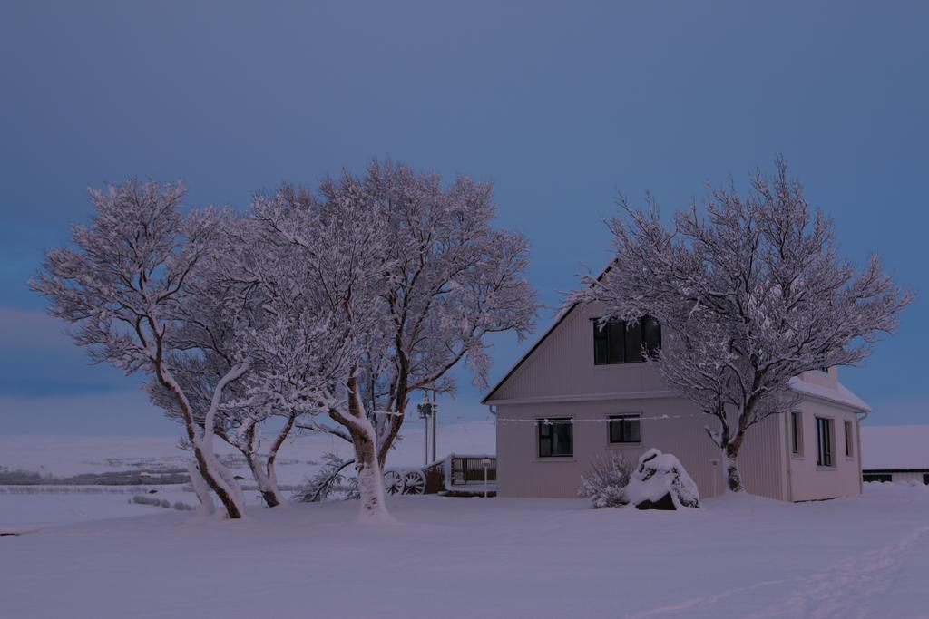 Guesthouse Steindorsstadir, West Iceland Reykholt  Zewnętrze zdjęcie