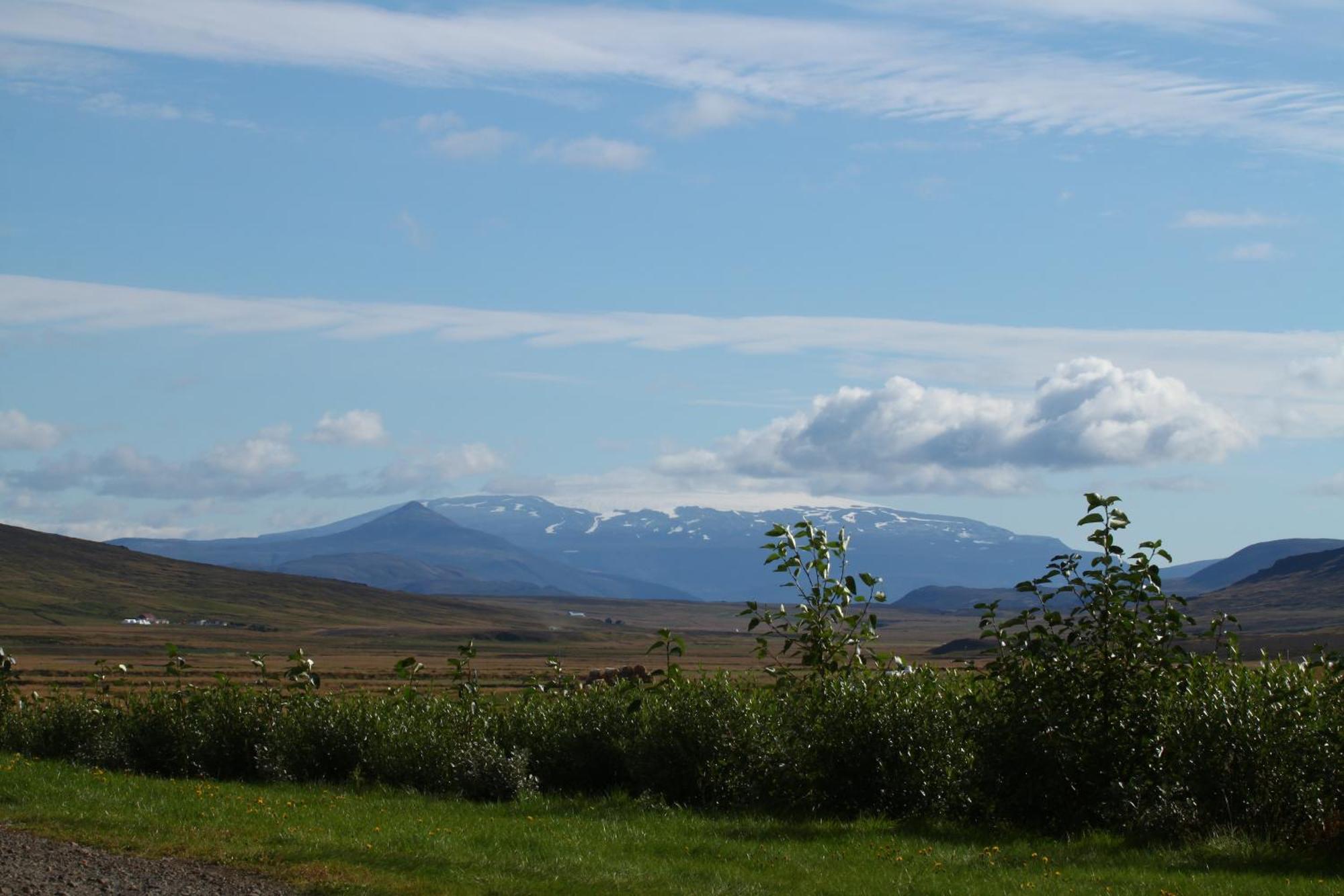 Guesthouse Steindorsstadir, West Iceland Reykholt  Zewnętrze zdjęcie