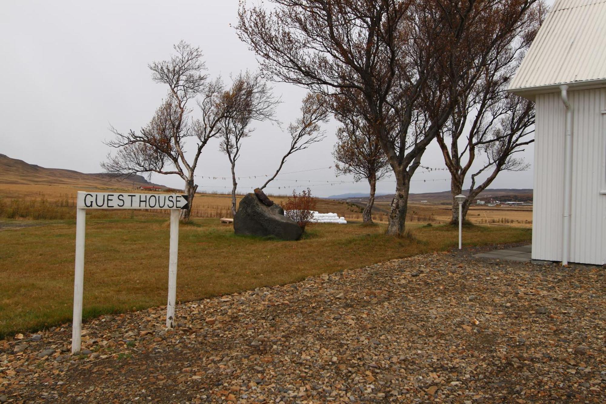 Guesthouse Steindorsstadir, West Iceland Reykholt  Zewnętrze zdjęcie