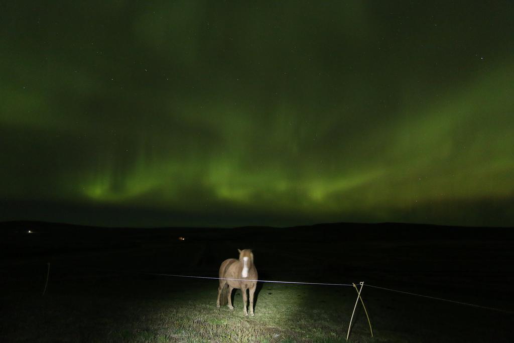 Guesthouse Steindorsstadir, West Iceland Reykholt  Zewnętrze zdjęcie